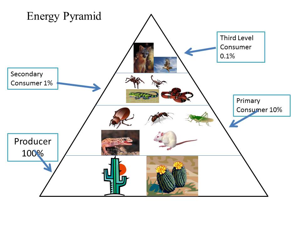 Energy Pyramid - Desert
